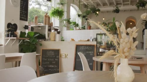 General view of modern cafe with counter, tables, chairs and plants