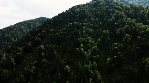 Mountain Khrepta Covered with Green Vegetation