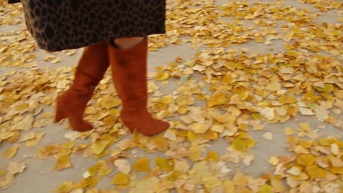 Woman's Legs Walking in Autumn Park
