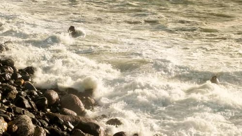 Waves at sunset hammering rock beach; close-up static shot