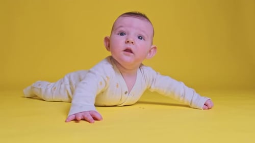 Cute Infant Lying on Stomach in Studio