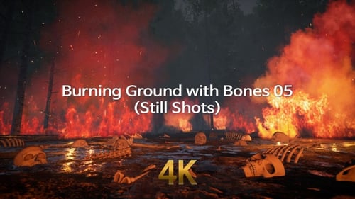 Burning Forest Hellscape with Skeletons Aftermath Animation