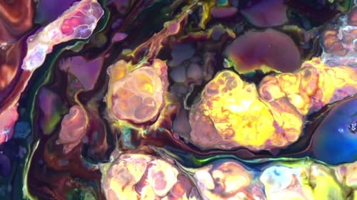 Abstract Colorful Invert Sacral Paint Exploding Texture 684