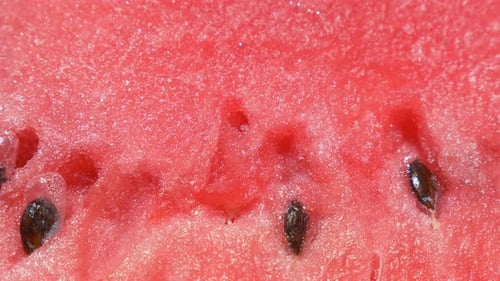 Watermelon juicy shallow DOF 4K UHD 2160p footage - Watermelon juicy fruit 4K 3840X2160 UHD pan