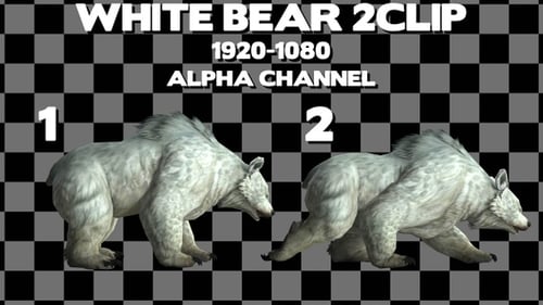 Alpha-Loop mit 2 Clips „White Bear