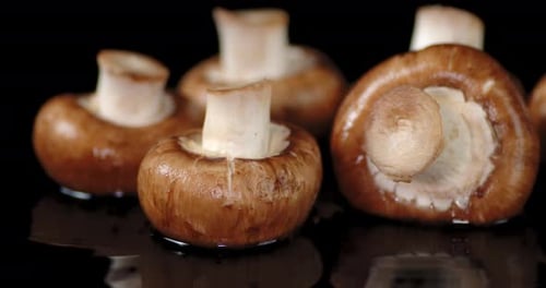 Fresh Brown Mushrooms Close Up on Black Surface