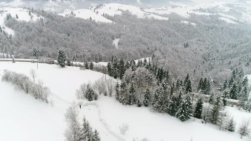Flug über dem ukrainischen Winterwald, Luftaufnahme von oben