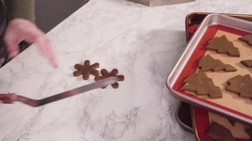 Gingerbread Cookie Creation for Christmas Holidays
