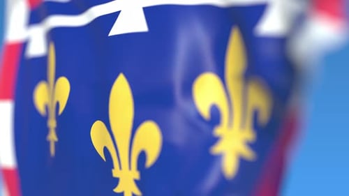 Animated Flag with Golden Fleur-de-lis Waving Loop