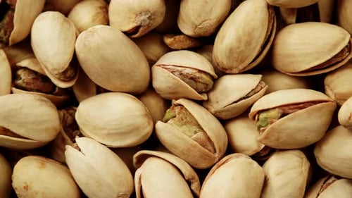 Close Up of Fresh Pistachios in Shell