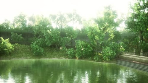 Tranquil Pond Framed By Lush Green Woodland Park in Sunshine