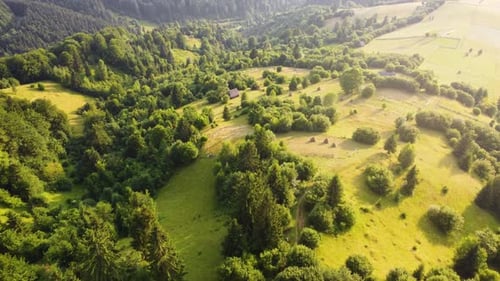 Vol d'observation aérienne par drone au-dessus d'une zone rurale et d'une forêt de pins en montagne au coucher du soleil par temps ensoleillé