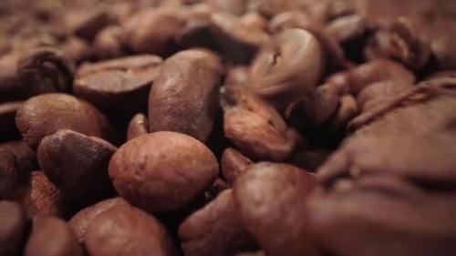Сoffee Beans are Falling