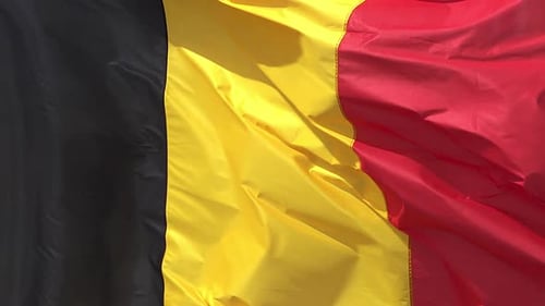 Belgium National Flag Blowing in the Wind