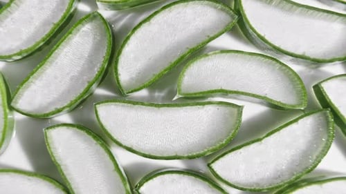 Closeup Aloe Vera Sliced Slice Rotation