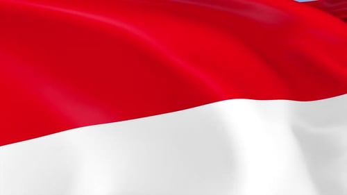 Realistic Waving Flag of Indonesia Seamless Loop Animation