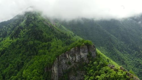 Rainy Weather in Mountains Misty Fog Blowing Over Forest