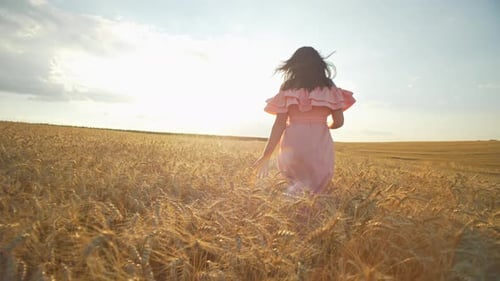 A Beautiful Woman in a Dress Walks Through a Wheat Field