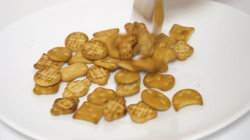 Delicious Cookies Cracker of Different Shapes Falls on a White Plate
