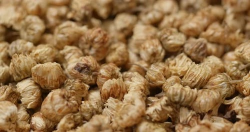 Dried Chrysanthemum Flowers Close-Up for Tea and Remedies