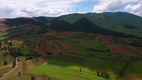 Campo de turbina eólica