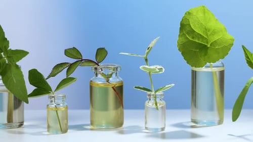 Óleos essenciais com ervas em frascos