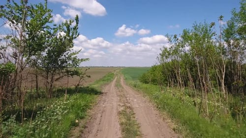 Dirt Road Passing Through A Farmland