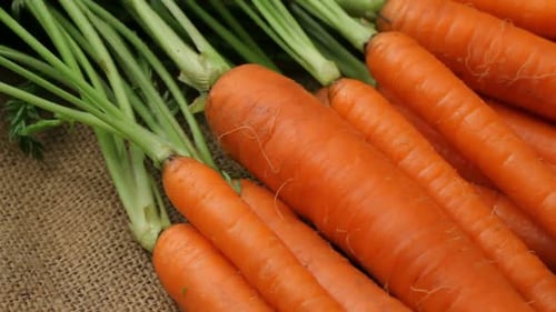 Frische Bio-Karotten, Nahaufnahme