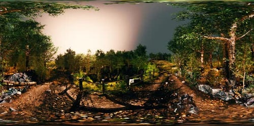 Pradera de bosque y hierba VR360