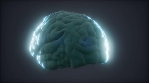 Loop Rotating Human Brain Animation