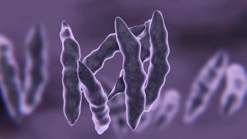 Abstract Microscopic Organism Fluid Science Background