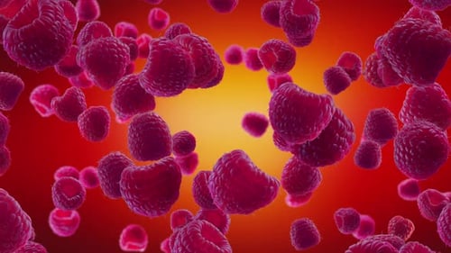 Falling Fresh Raspberries Loop Background