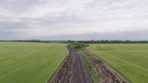 Protective Plowing of the Field