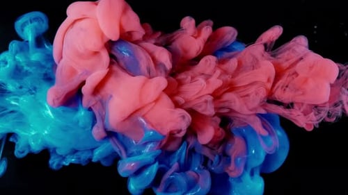Colorful Pink and Blue Liquid Streams Merge