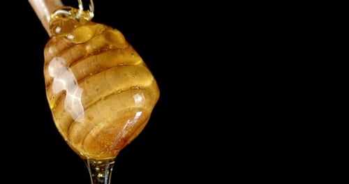 O mel fresco escorre por uma colher de pau.