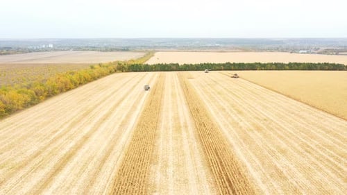 Aerial Shot of Farmland During Harvesting Process