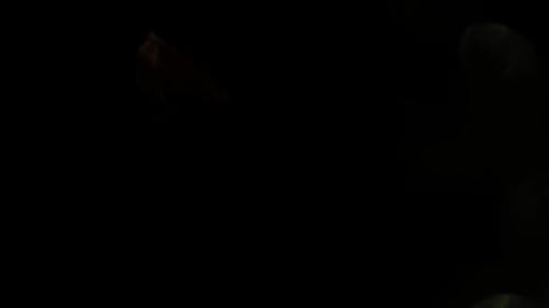 Multicolored Light Leaks Footage on Black Background. Stylizing Video, Transitions. Bokeh Effect