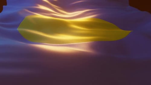 Fluid Motion of a Stylized Flag with Golden Shape