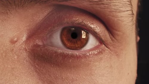 Extreme Nahaufnahme eines braunen menschlichen Auges