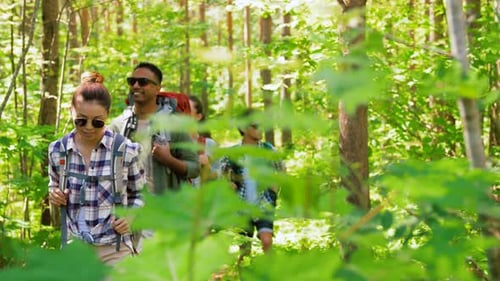 Group of Friends with Backpacks Hiking in Forest