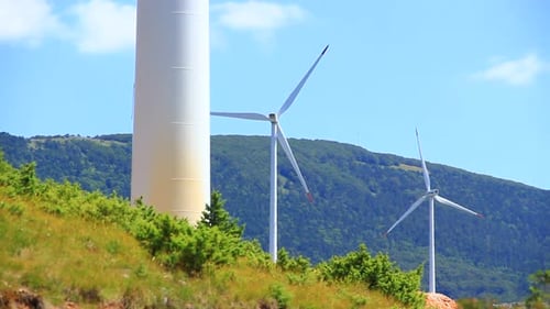 Wind Turbines Rotating on a Green Hill