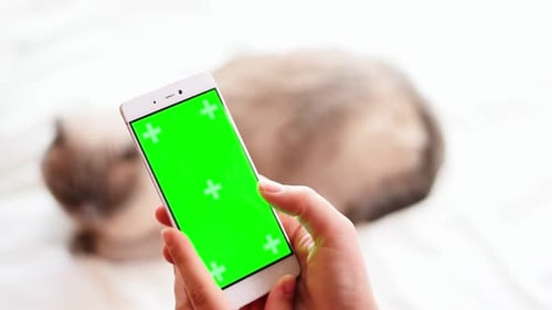 Female Hand Using Phone with Green Screen and Chroma Key at Home on Cat Background