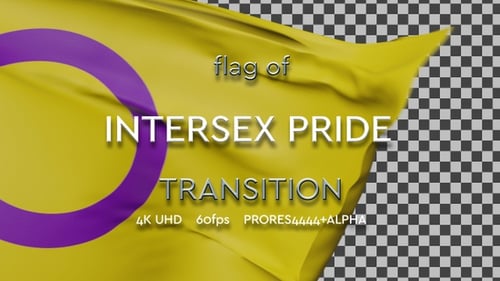 Fluid Cloth Reveal Transition Animation