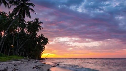 Time lapse: sunset over tropical beach and sea colorful dramatic sky moving clouds palm trees