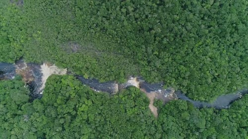 Luftaufnahme eines Flusses im Amazonas-Dschungel