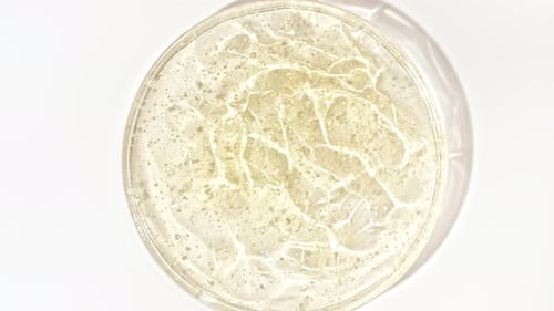Rotation du liquide gel cosmétique jaune transparent avec des bulles dans un bol en verre de Petri