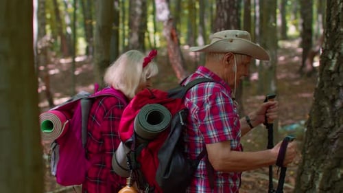 Senior Couple Hiking Through a Forest With Backpacks