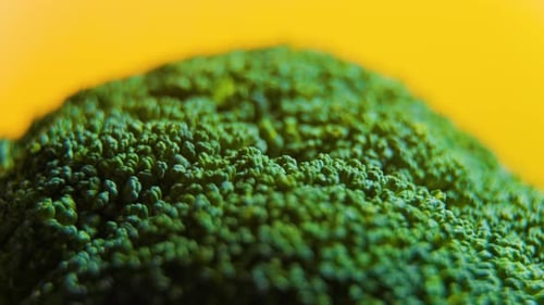 Close Up Green Fresh Broccoli Vegetables Rotating