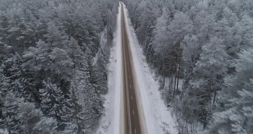 Winter Road in the Forest