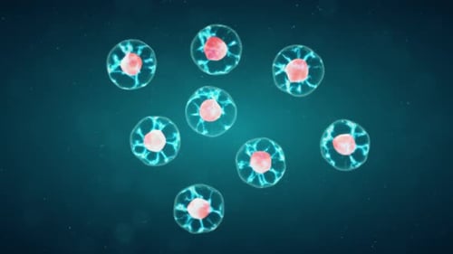 Animated Cell Division and Replication in Microscopic View